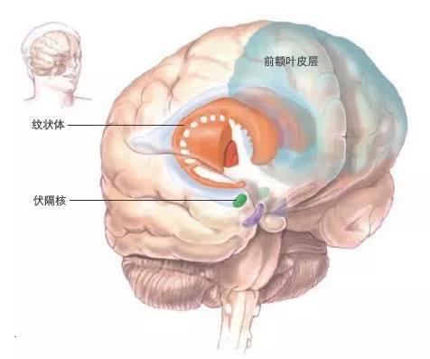 新年慈悲心：接受自己是实现新年愿望的关键所在