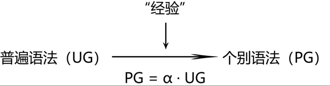 乔姆斯基的语言学观点