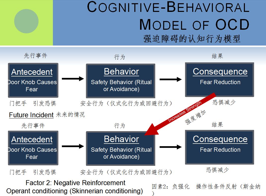 强迫症与囤积障碍的认知行为治疗 心理健康 易读心理网