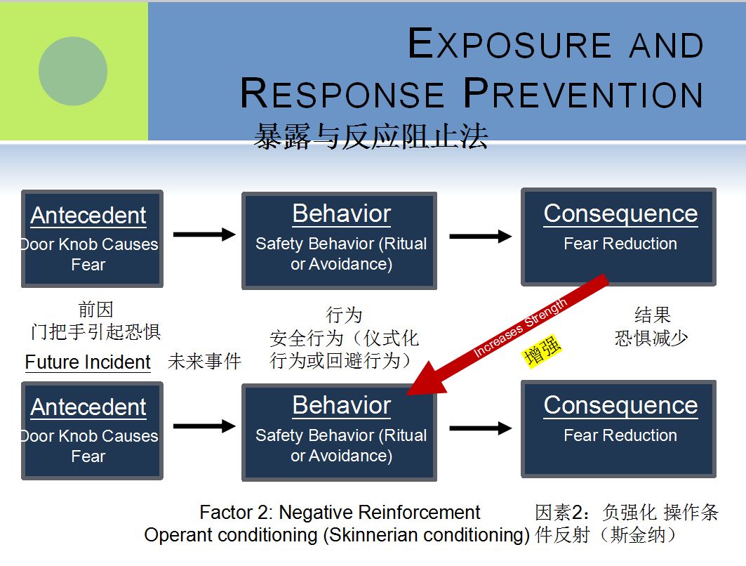 强迫症与囤积障碍的认知行为治疗