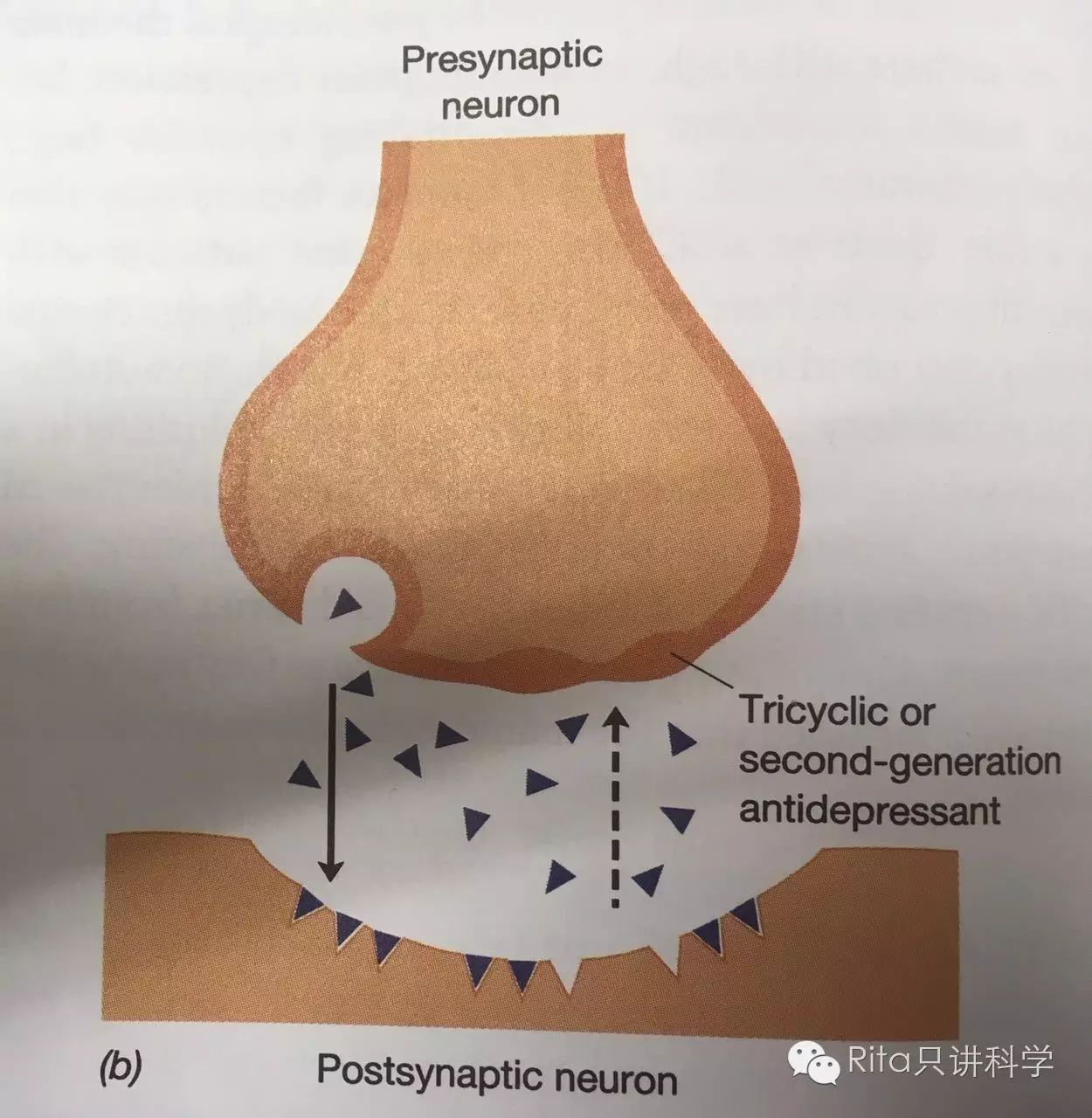 抑郁症到底是怎么回事