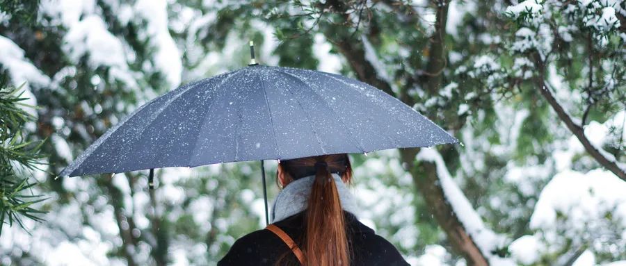 不要再学心理学了，你需要的是实实在在的生活