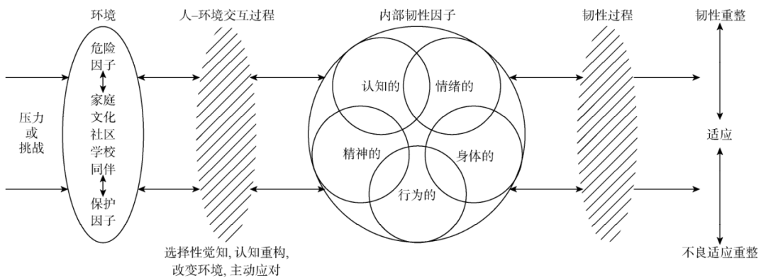 心理韧性：你的抗压能力从何而来？