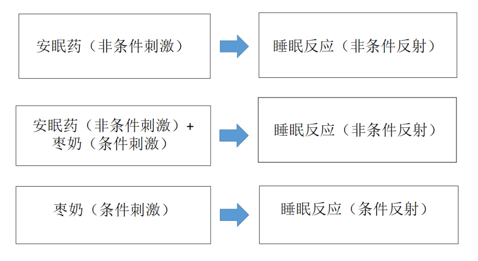 睡眠障碍：为什么会失眠、又如何改善失眠？